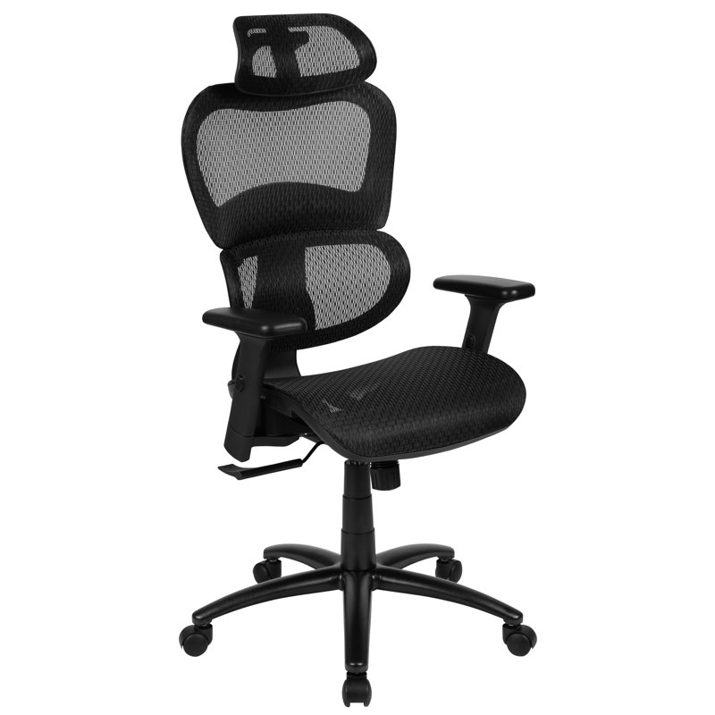 Latitude Run® Opuntia Ergonomic Mesh Task Chair & Reviews Wayfair